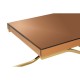 Kingston Brown Glass and Gold Finish Coffee Table